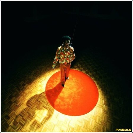 MiLES  - Lost Within The Disco (2024) Mp3 320kbps