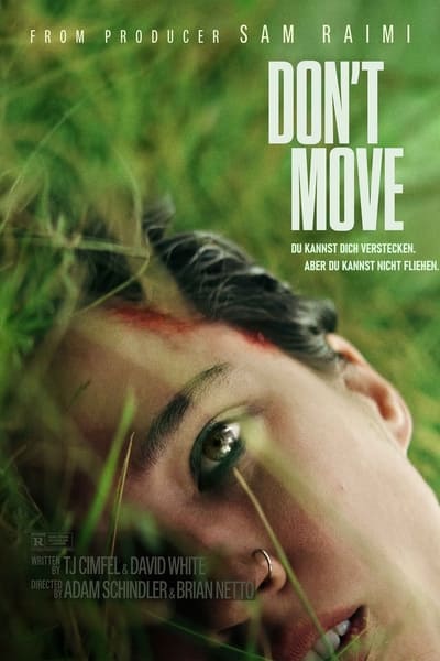 Dont Move 2024 German AC3 WEBRip x265-LDO