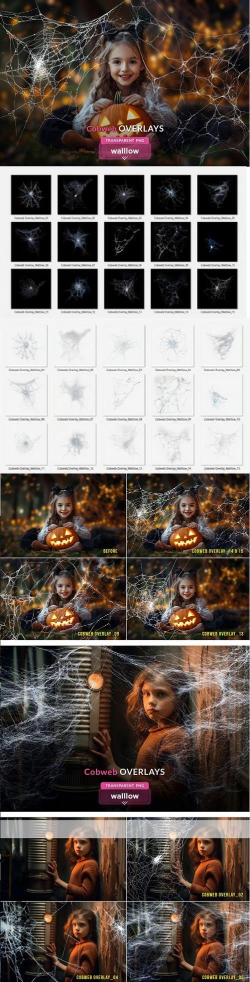 Cobweb PNG Overlay Halloween Clipart - 287852563