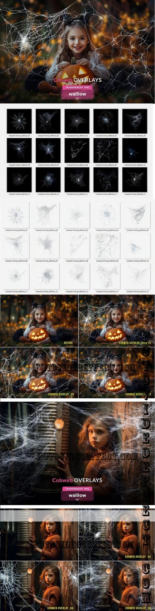 Cobweb PNG Overlay Halloween Clipart - 287852563