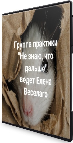 Елена Веселаго - Не знаю, что дальше (2024) Вебинар