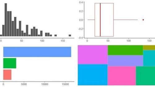 Univariate analysis using R  programming