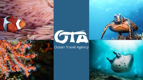 Marine Biology Introduction - Mantas, Turtles And Coral  Reef