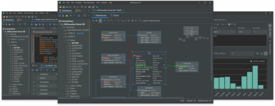 DbVisualizer Pro 24.2.3 (x64)