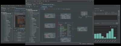 DbVisualizer Pro 24.2.3  (x64)