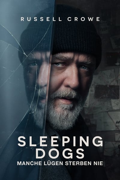 Sleeping.Dogs.2024.German.AC3.1080p.WEBRip.x265-LDO