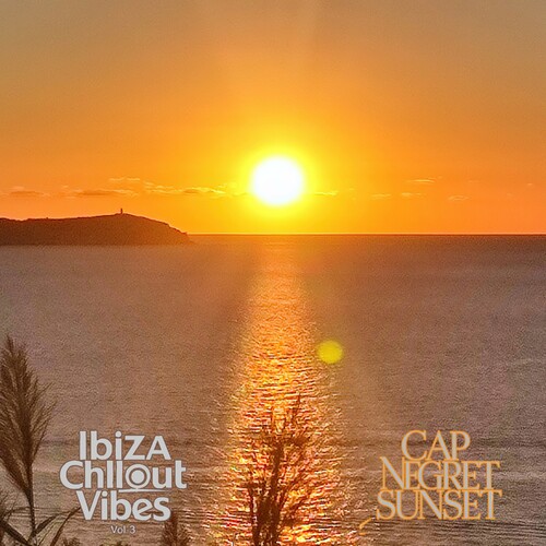 Ibiza Chillout Vibes Vol. 1-3 (2024) FLAC