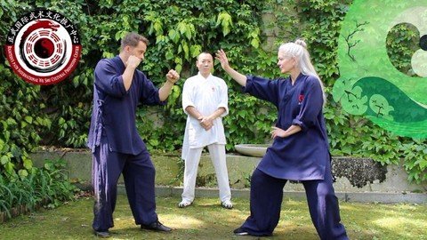 Tai Chi Eight Techniques & Applications With Master  Yu Li