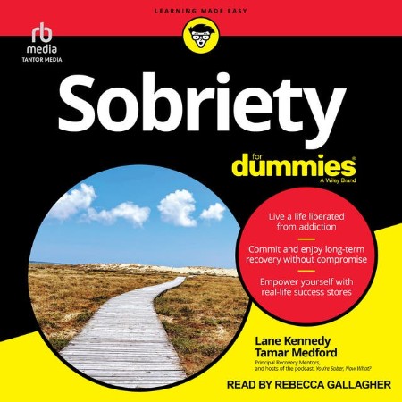 Sobriety For Dummies - [AUDIOBOOK]