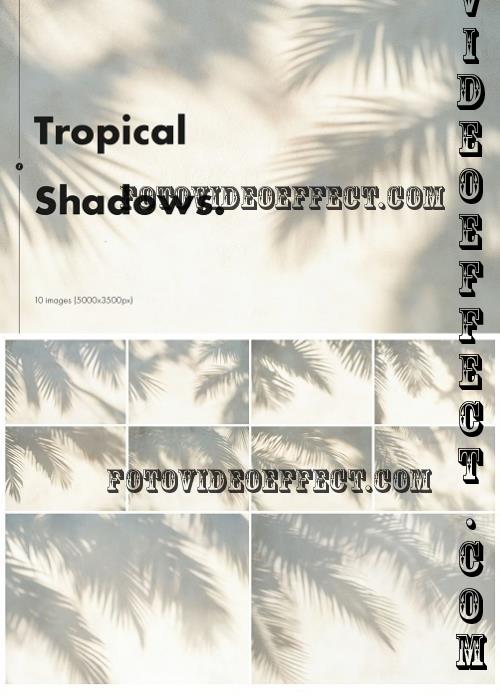 Tropical Shadows Backgrounds - 9UYED5F