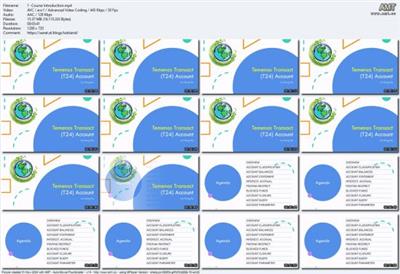 Temenos Transact (T24) Core Banking  System - Account Be2a96c696671e4388b3dce37c510623