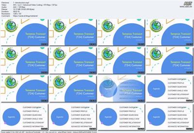 Temenos Transact (T24) Core Banking  System - Customer 3b1c289e548438cf336278e82a98fc28