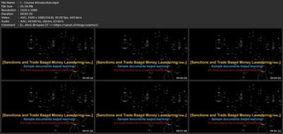 Sanctions Screening And Tbml-Sample Documents Based  Learning 808925daa5575c540e162c08919a4c5c