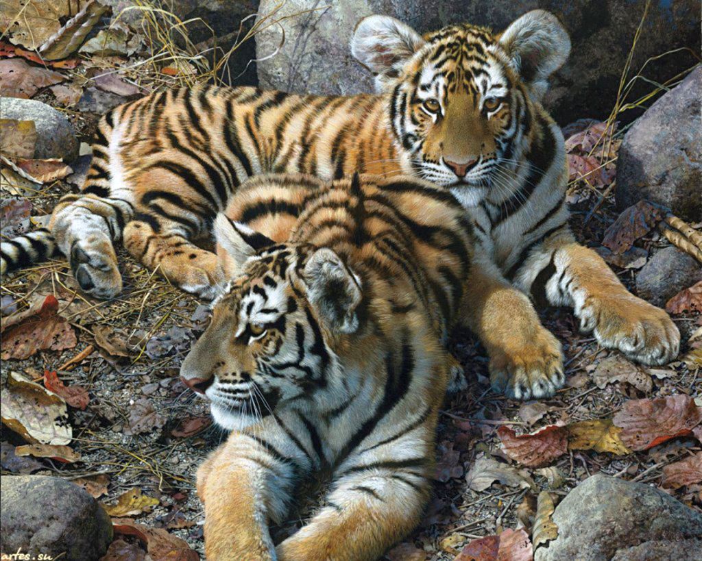 Animal Art - Page 23 D5de30d4492c3159e264ee87c26fbe9e