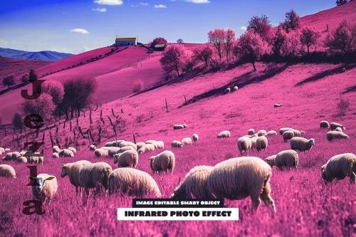 Infrared Photo Effect - 288825281