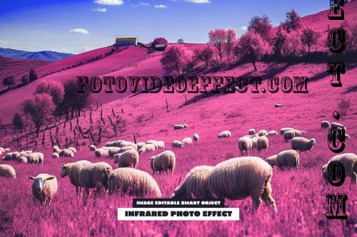 Infrared Photo Effect - 288825281