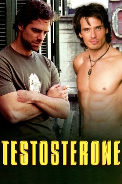 Testosterone (2003) 1080p WEBRip 5 1-LAMA