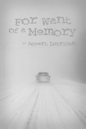 For Want of a Memory - Robert Lubrican