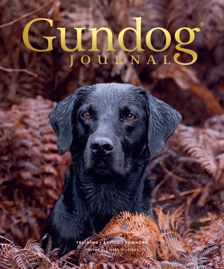 Gundog Journal - Volume VI Issue IV 2024 6eb7a0c337cb1c269bc6b5b7a150d110