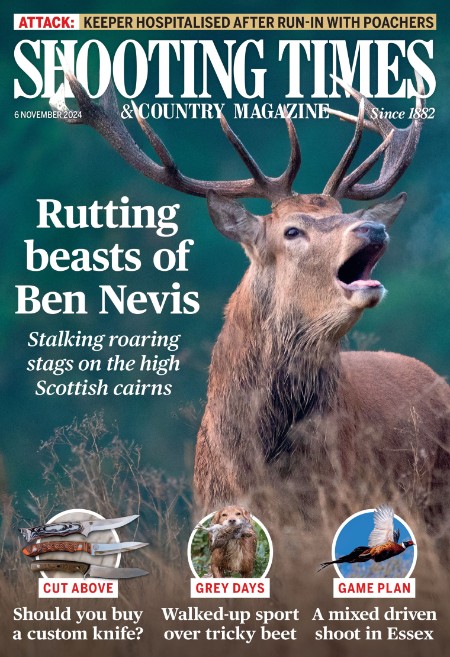 Shooting Times & Country - 6 November 2024 68d83009f61fc1440ed4f318162a273c