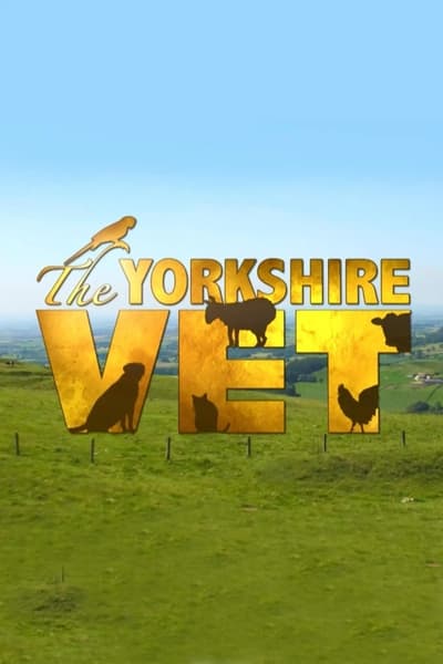 The Yorkshire Vet S19E13 720p HEVC x265-MeGusta