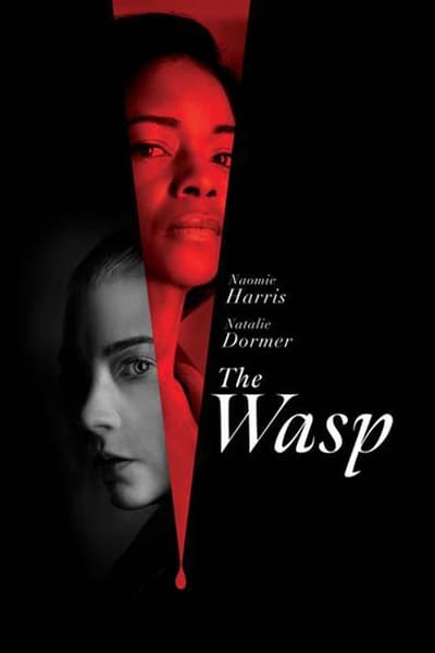 The Wasp 2024 German AC3 DL 1080p WEB x264-HQXD