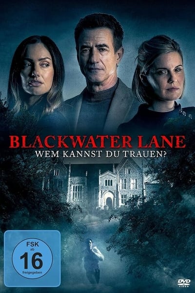 Blackwater.Lane.Wem.kannst.Du.trauen.2024.German.DL.1080p.BluRay.x264-GMA