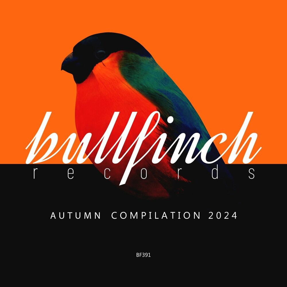 Bullfinch Autumn 2024 Compilation (2024)