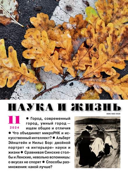 Наука и жизнь №11 (ноябрь 2024)