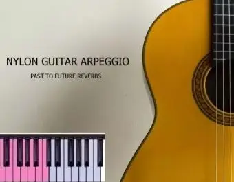 PastToFutureReverbs Nylon Guitar Arpeggio For Kontakt! KONTAKT D7e74a4bb4e01034578ca9e1b72b7b89