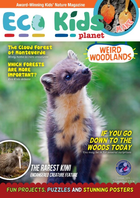 Eco Kids Planet Magazine - November 2024