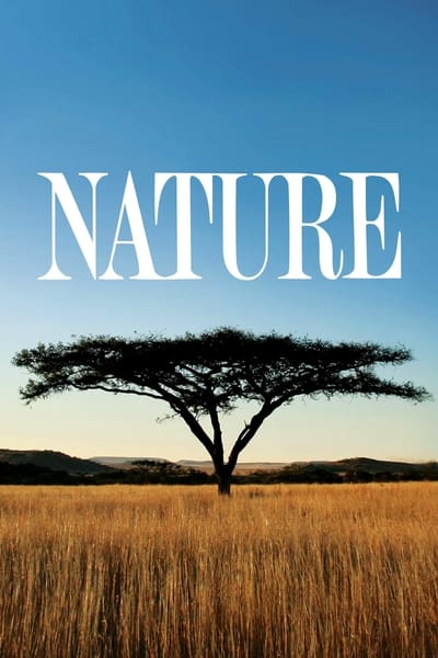 Nature S43E03 San Diego Americas Wildest City 1080p HEVC x265-MeGusta