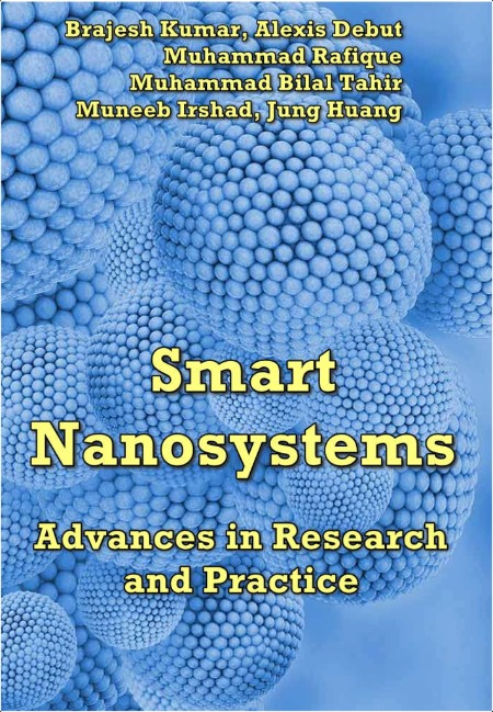 Debut B  Smart Nanosystems  Advances in Research and Practice 2024