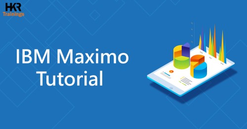 Mastering IBM Maximo Comprehensive Guide for Professional