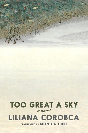 Too Great a Sky - Liliana  Corobca