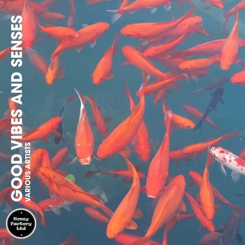 Good Vibes and Senses (2024) FLAC