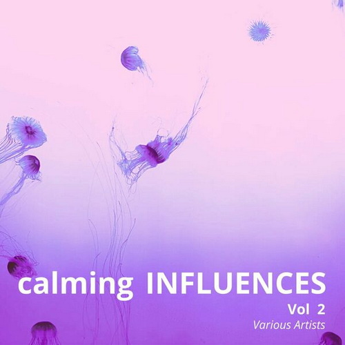 Calming Influences Vol 2 (2024) FLAC