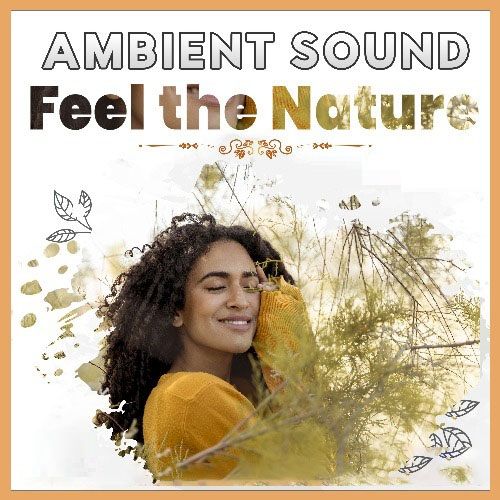 Feel The Nature - Ambient Sound (Mp3)