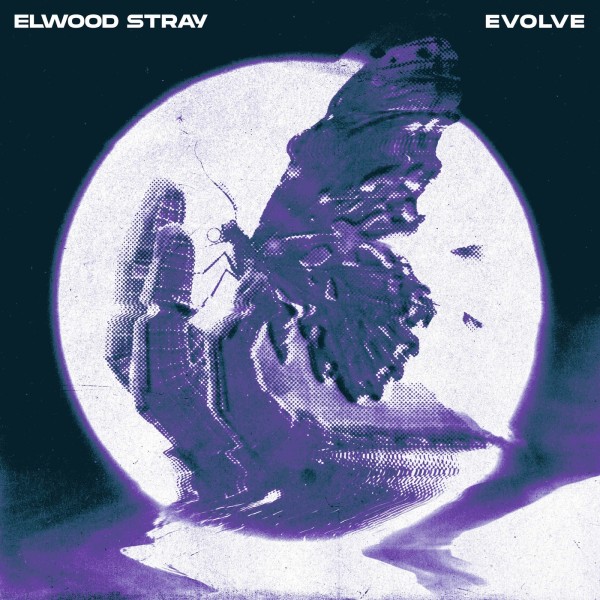 Elwood Stray - Evolve [Single] (2024)