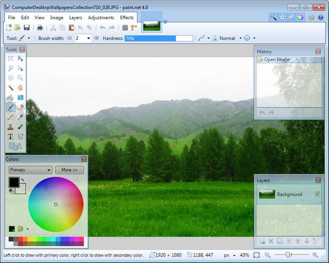 Paint NET 5.1 Multilingual (x64)