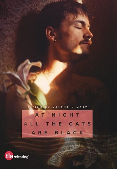 At Night All the Cats Are Black (2022) 1080p AMZN WEB-DL DDP2 0 H 264-Kitsune