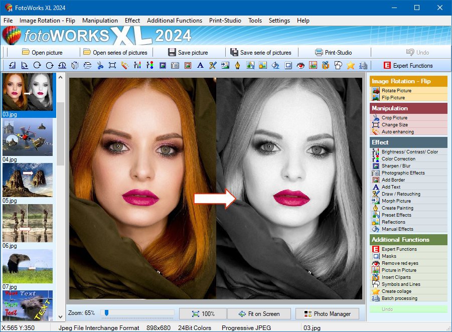 FotoWorks XL 2025.25.0.0 Multilingual