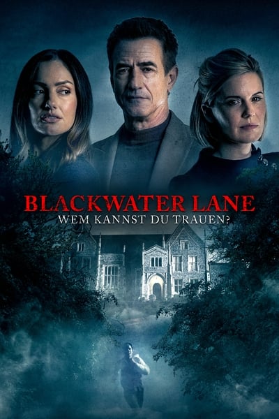 Blackwater Lane Wem Kannst Du Trauen 2024 German 720p BluRay x265-DSFM