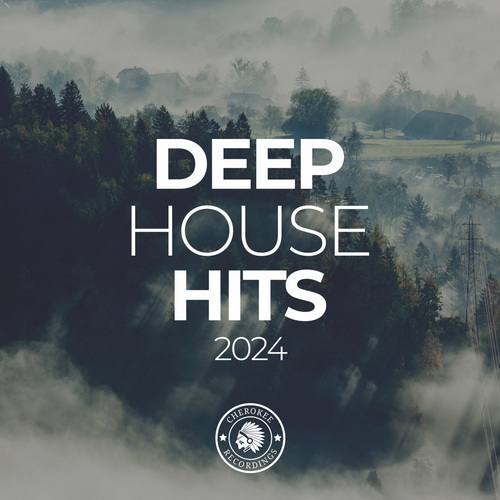 Deep House Hits 2024 (2024) FLAC