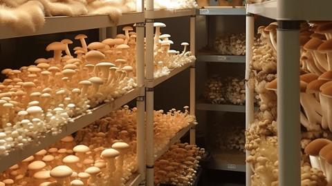 Indoor Mushroom Cultivation - Guide For Business And  Home B0a0a6689cff3a3641ca1112fa754551