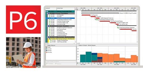 Primavera P6 For Project Management A Complete Online