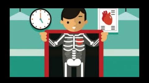 How To Read Abdominal X-Ray From  Zero To  Hero 739ea348fd36896cdf7bb76e17e43b7f