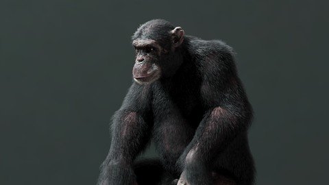 Udemy – Master Cg Creature Creation