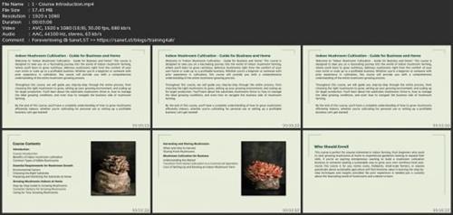 Indoor Mushroom Cultivation - Guide For Business And  Home F804139c9c31962762422a68ec943bcc