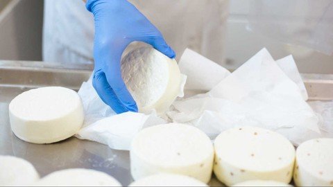 Udemy – European Cheesemaking For Beginners